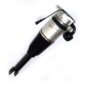 Volkswagen Phaeton Rear Right Air Strut